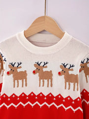 Björn | Nordic Kids Sweater