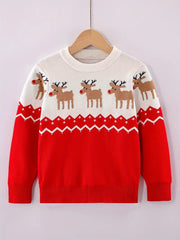 Björn | Nordic Kids Sweater