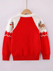 Björn | Nordic Kids Sweater